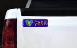 10in x 3in I Heart Seahorses Love Sea Horses Animals Bumper Sticker Vinyl Window Decal