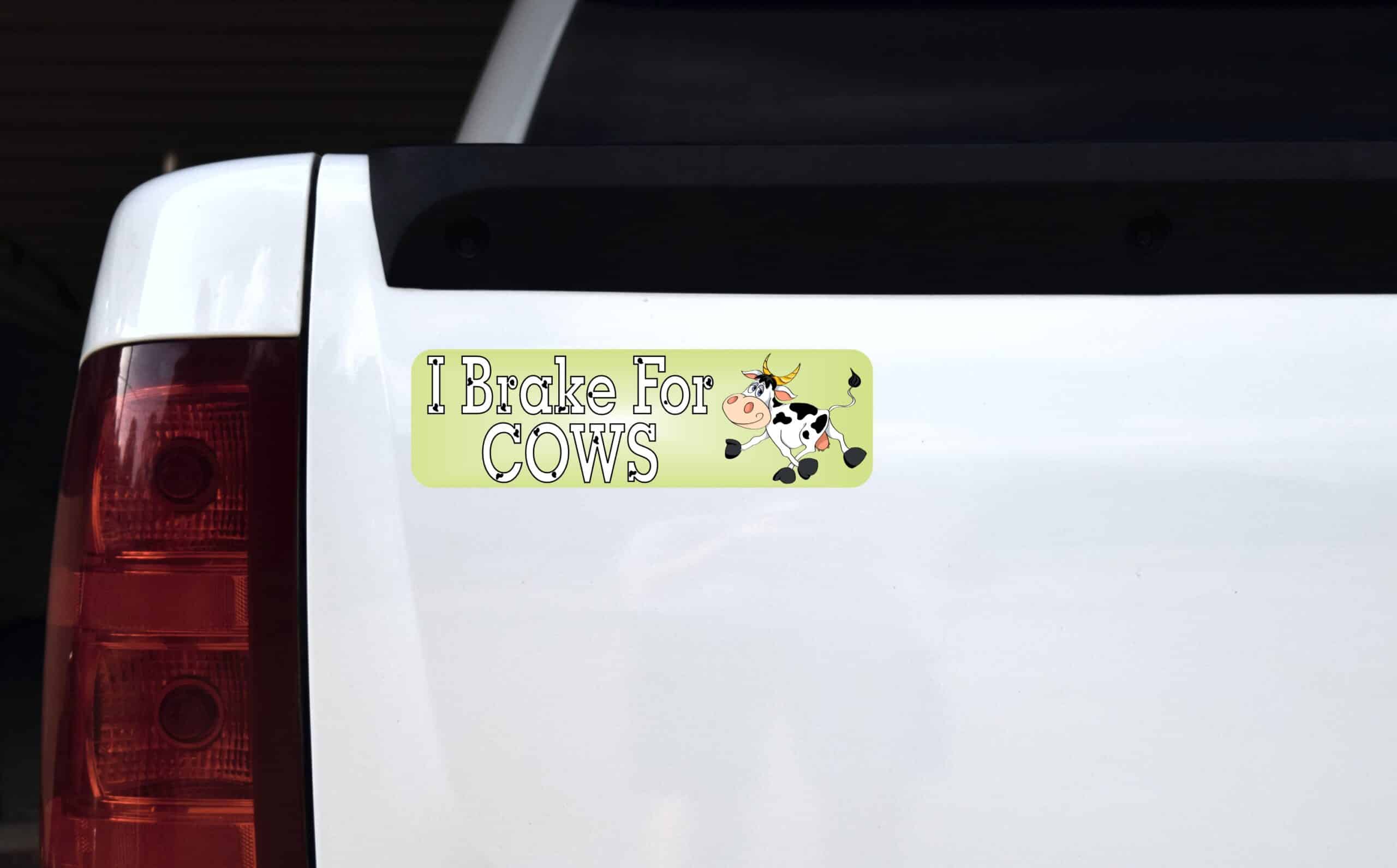 10in x 3in I Brake For Cows Magnet Magnetic Vehicle Sign