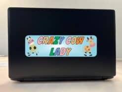 10in x 3in Crazy Cow Lady Bumper Sticker Vinyl Window Decal