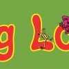 Frog Lover Bumper Sticker