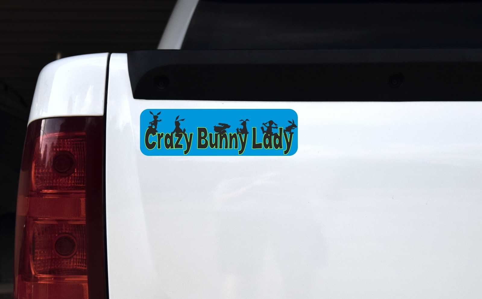 10in x 3in Blue Crazy Bunny Lady Bumper Sticker