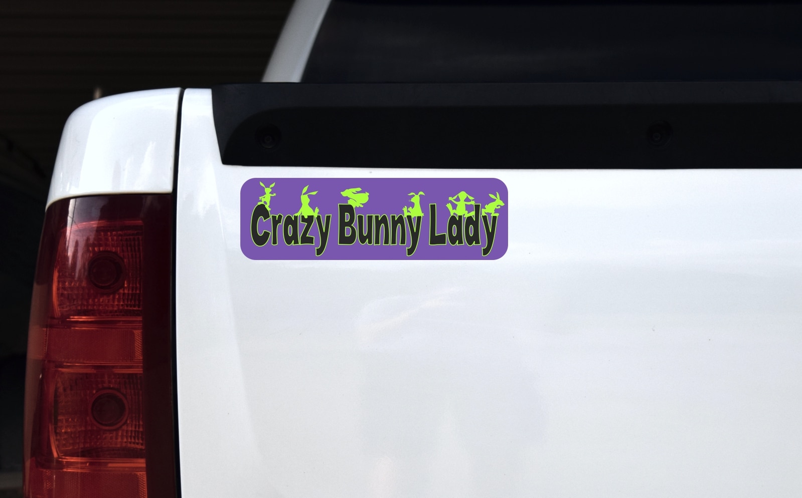 10in x 3in Purple Crazy Bunny Lady Bumper Sticker