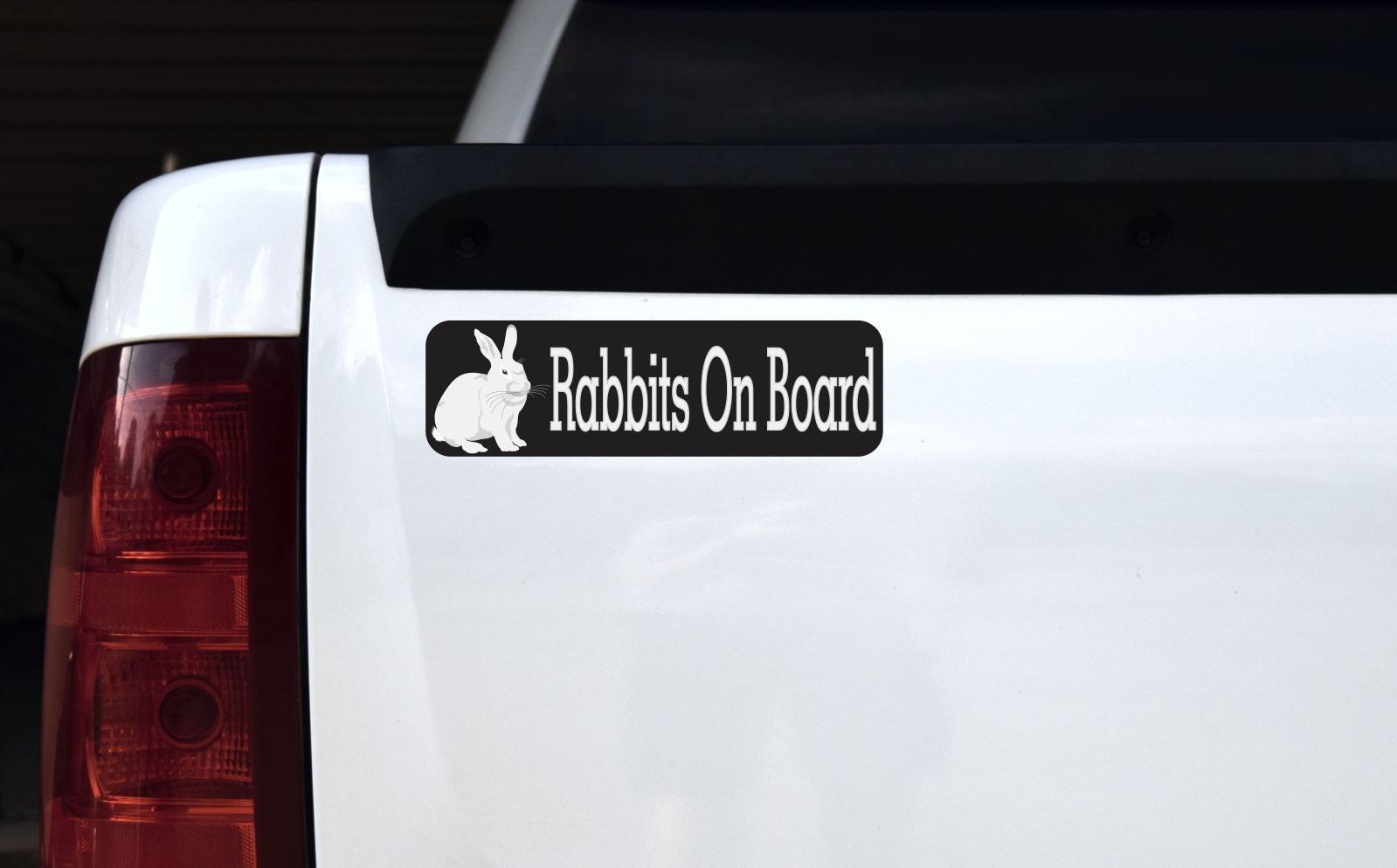 Rabbits On Board Bumper sticker