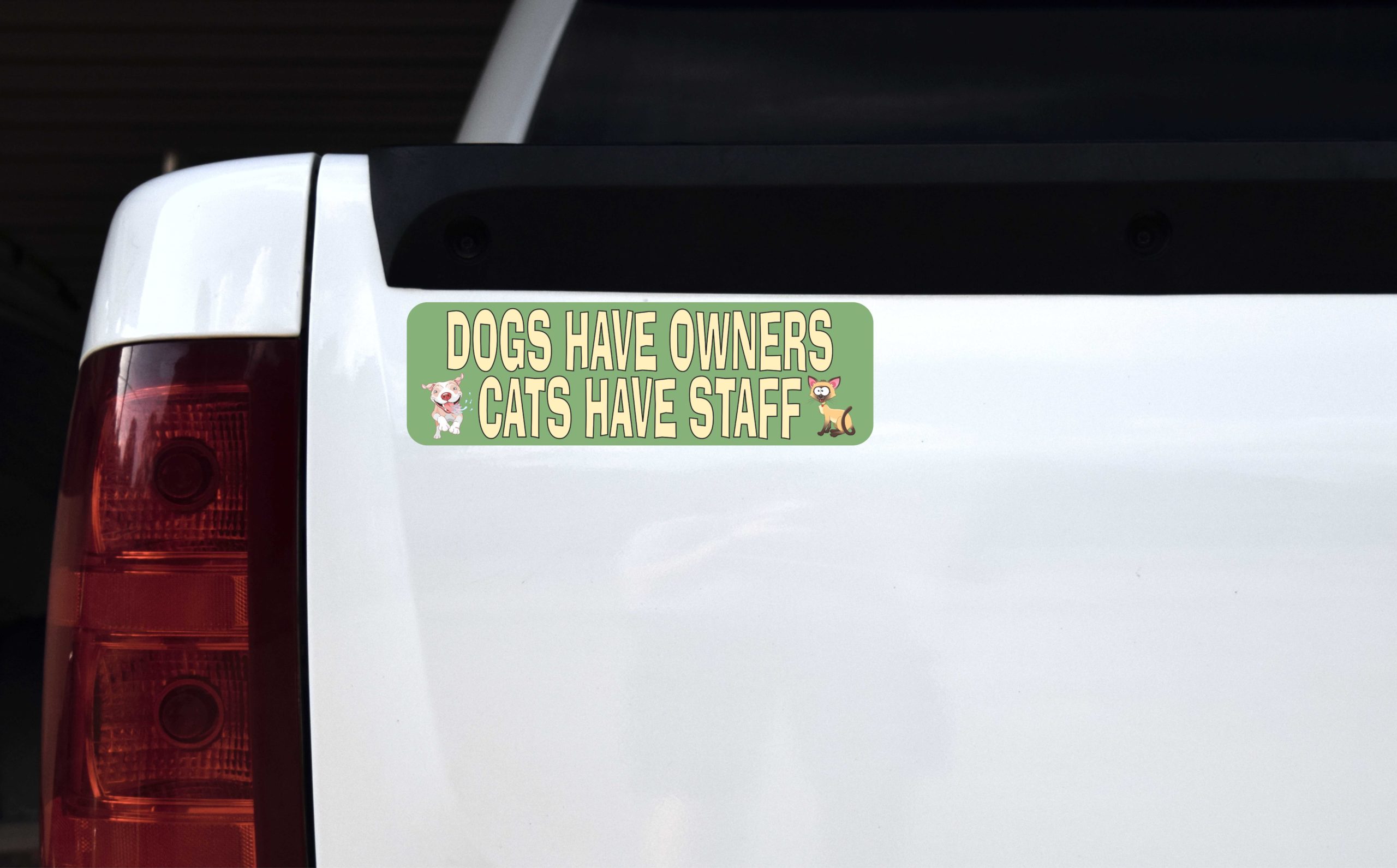 Cats Have Staff Magnet