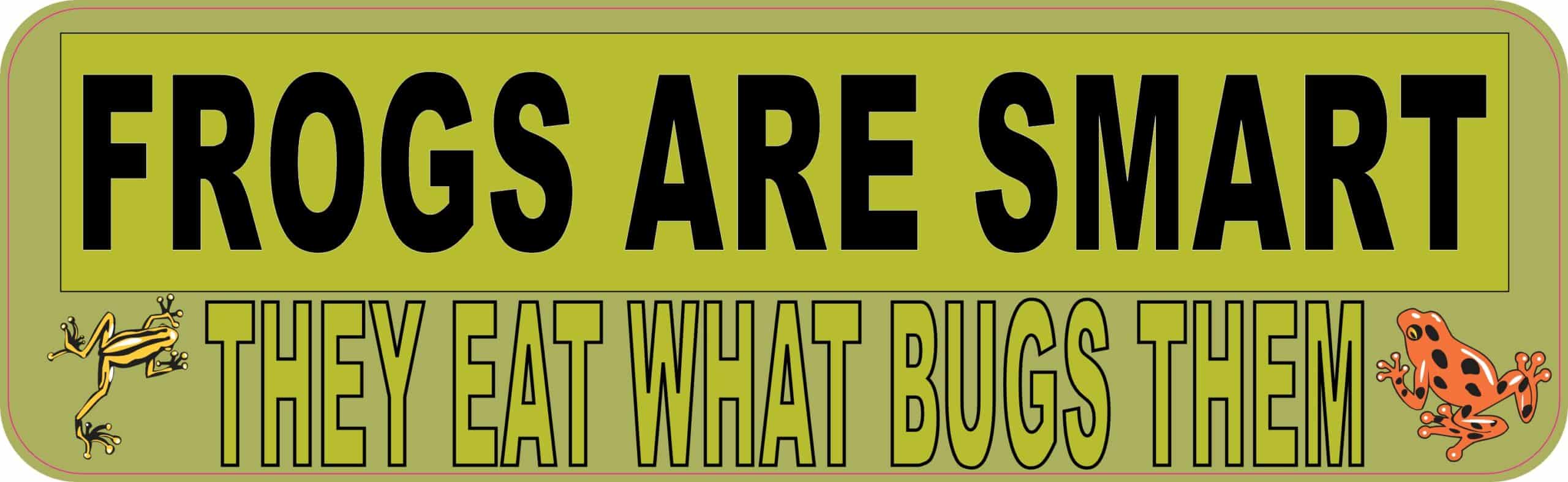 10 inx 3in Frogs Are Smart Bumper Sticker Frog Car Window Stickers Decal Decals