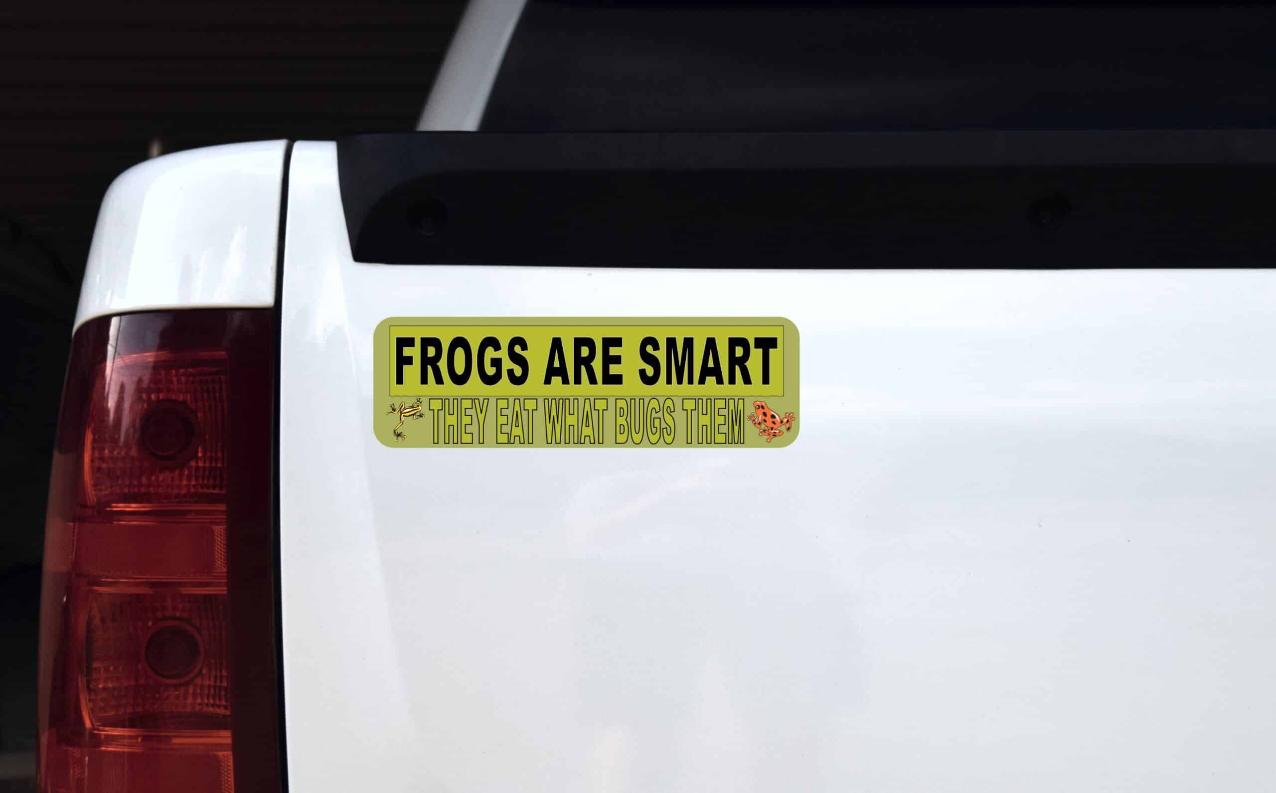 10in x 3in Frogs Are Smart magnet bumper Frog Car magnetic magnets