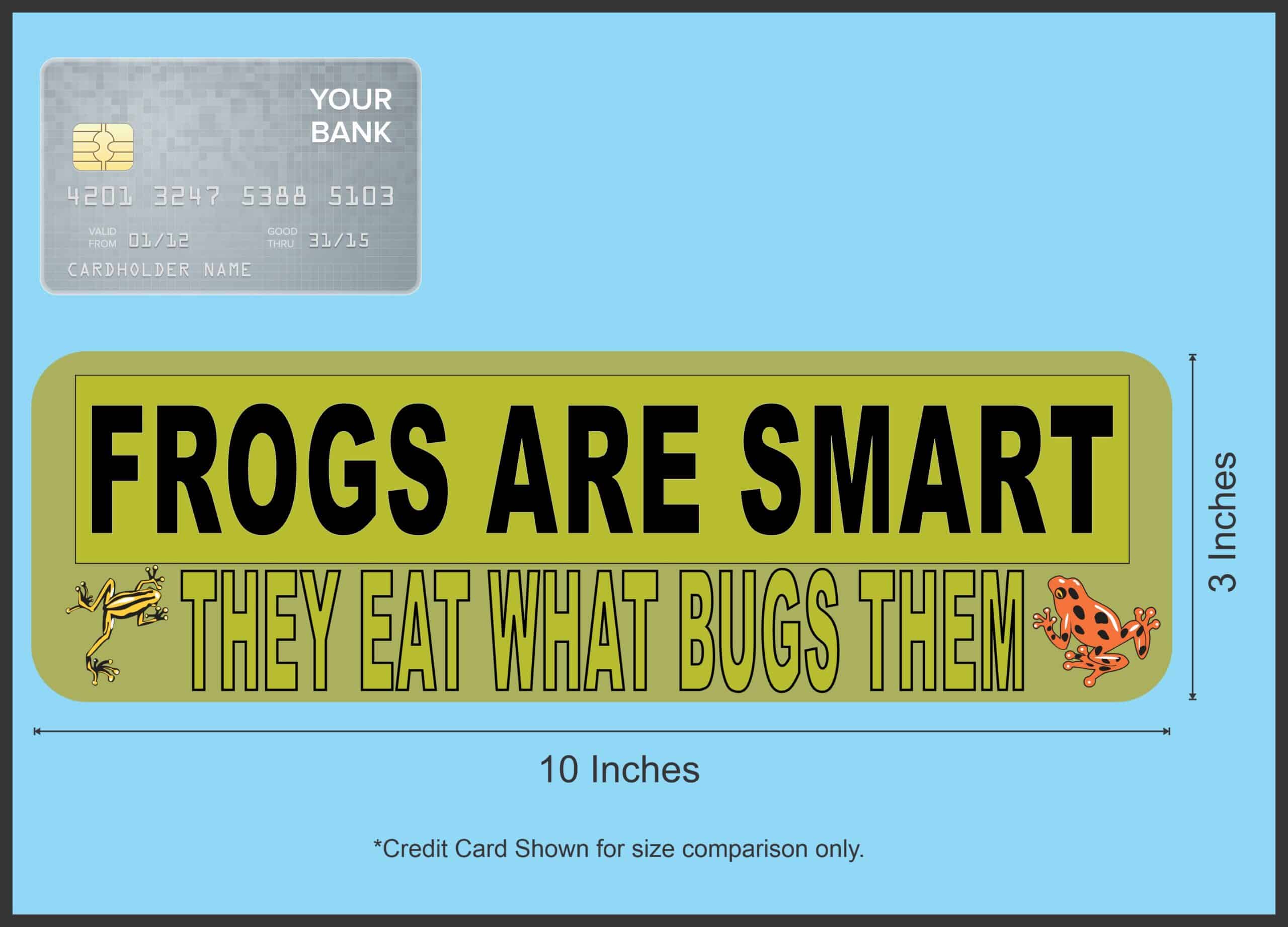 10in x 3in Frogs Are Smart magnet bumper Frog Car magnetic magnets
