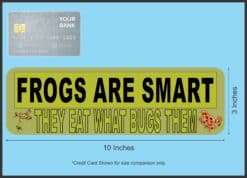 10 inx 3in Frogs Are Smart Bumper Sticker Frog Car Window Stickers Decal Decals