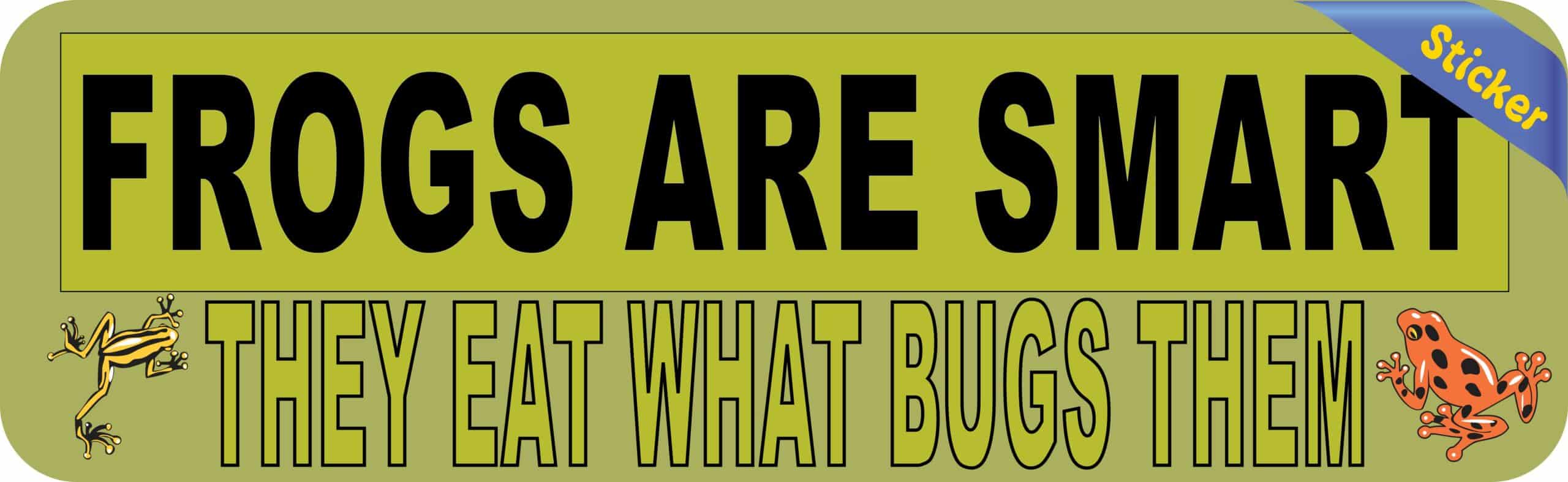 10 inx 3in Frogs Are Smart Bumper Sticker Frog Car Window Stickers Decal Decals