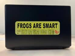 10 inx 3in Frogs Are Smart Bumper Sticker Frog Car Window Stickers Decal Decals