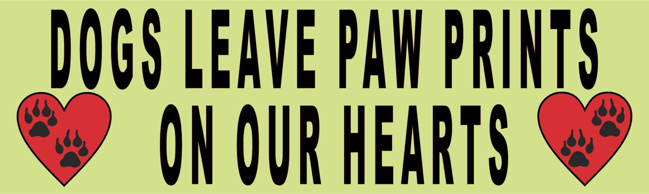 10in x 3in Dogs Leave Paw Prints magnet bumper Dog magnetic magnets Car