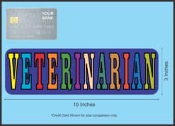 10in x 3in Veterinarian Vinyl magnet bumper  Car magnetic magnets Truck