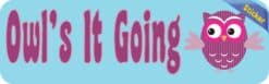 10in x 3in Owls it Going Bumper Sticker Decal Owl Car Owl Window Stickers Decals