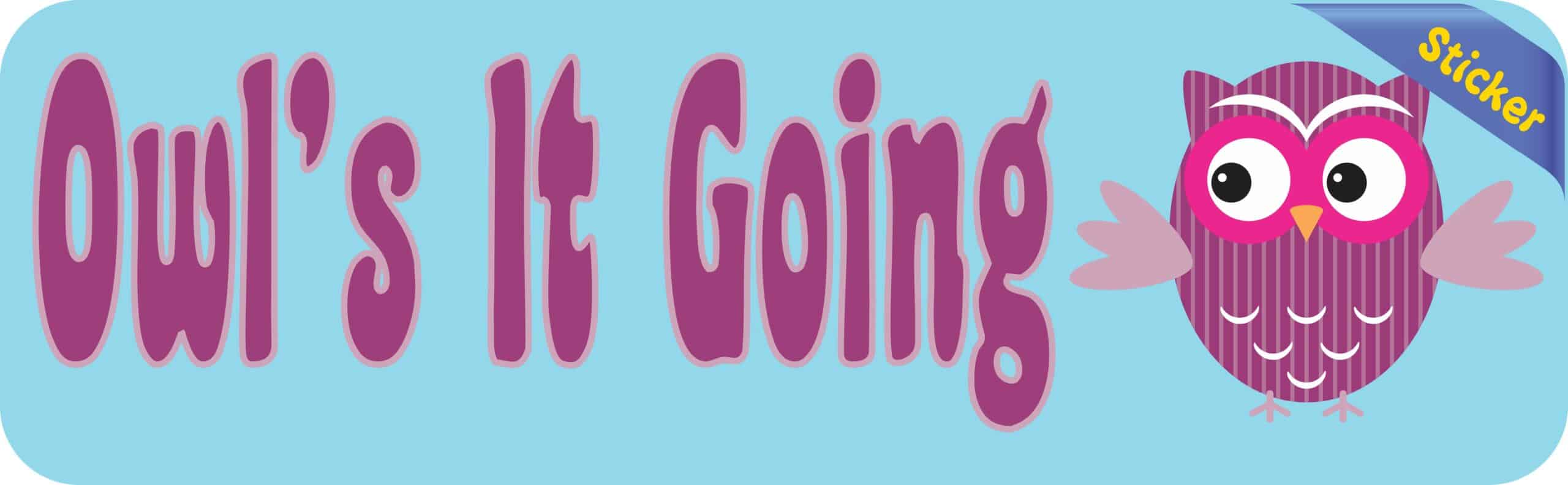 10in x 3in Owls it Going Bumper Sticker Decal Owl Car Owl Window Stickers Decals
