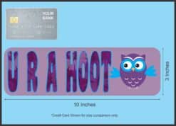10in x 3in U R A Hoot Vinyl magnet bumper  Owl Car Owls magnetic magnets