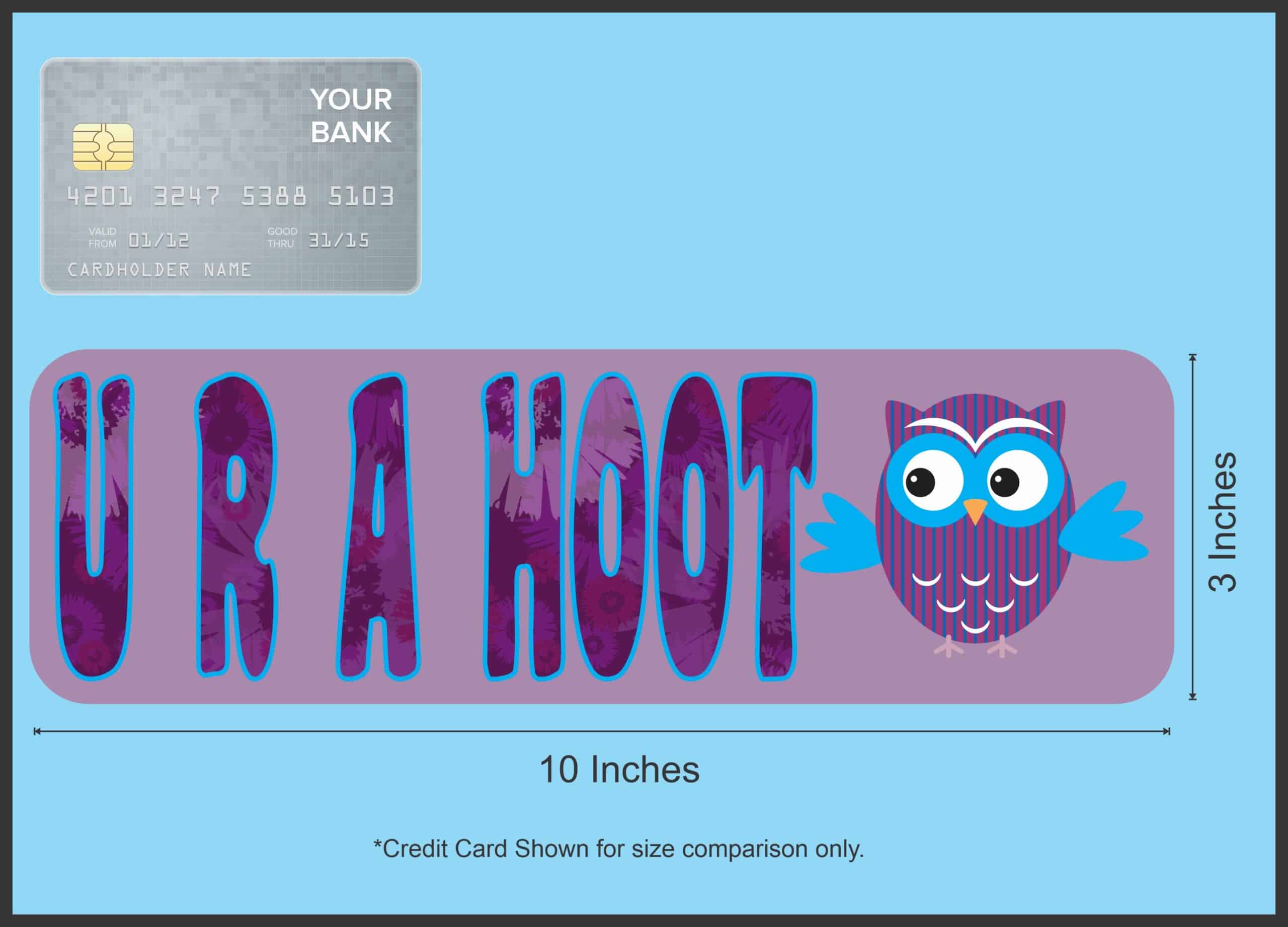 10in x 3in U R A Hoot Vinyl Bumper Sticker Decal Owl Car Owls Window Stickers Decals