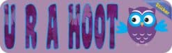 10in x 3in U R A Hoot Vinyl Bumper Sticker Decal Owl Car Owls Window Stickers Decals