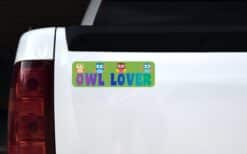 10in x 3in Owl Lover Vinyl magnet bumper  Owls Car Owl magnetic magnets