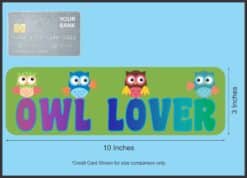 10in x 3in Owl Lover Vinyl magnet bumper  Owls Car Owl magnetic magnets