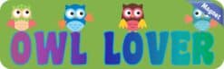 10in x 3in Owl Lover Vinyl magnet bumper  Owls Car Owl magnetic magnets