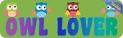 10in x 3in Owl Lover Vinyl owls Bumper Sticker Decal Owls Car Owl Window Stickers Decals