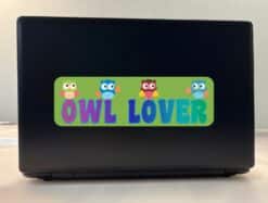 10in x 3in Owl Lover Vinyl owls Bumper Sticker Decal Owls Car Owl Window Stickers Decals