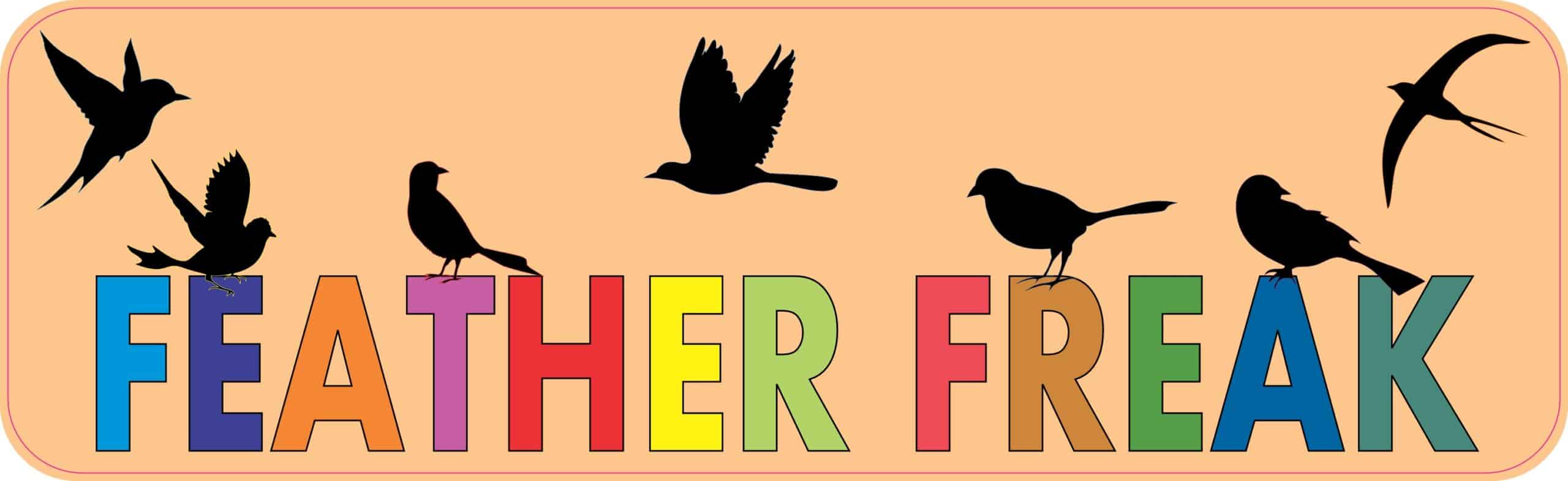 10in x 3in Feather Freak Birds Bird magnet bumper Vinyl magnets