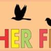 10in x 3in Feather Freak Birds Bird Bumper Sticker Decal Vinyl Stickers Decals