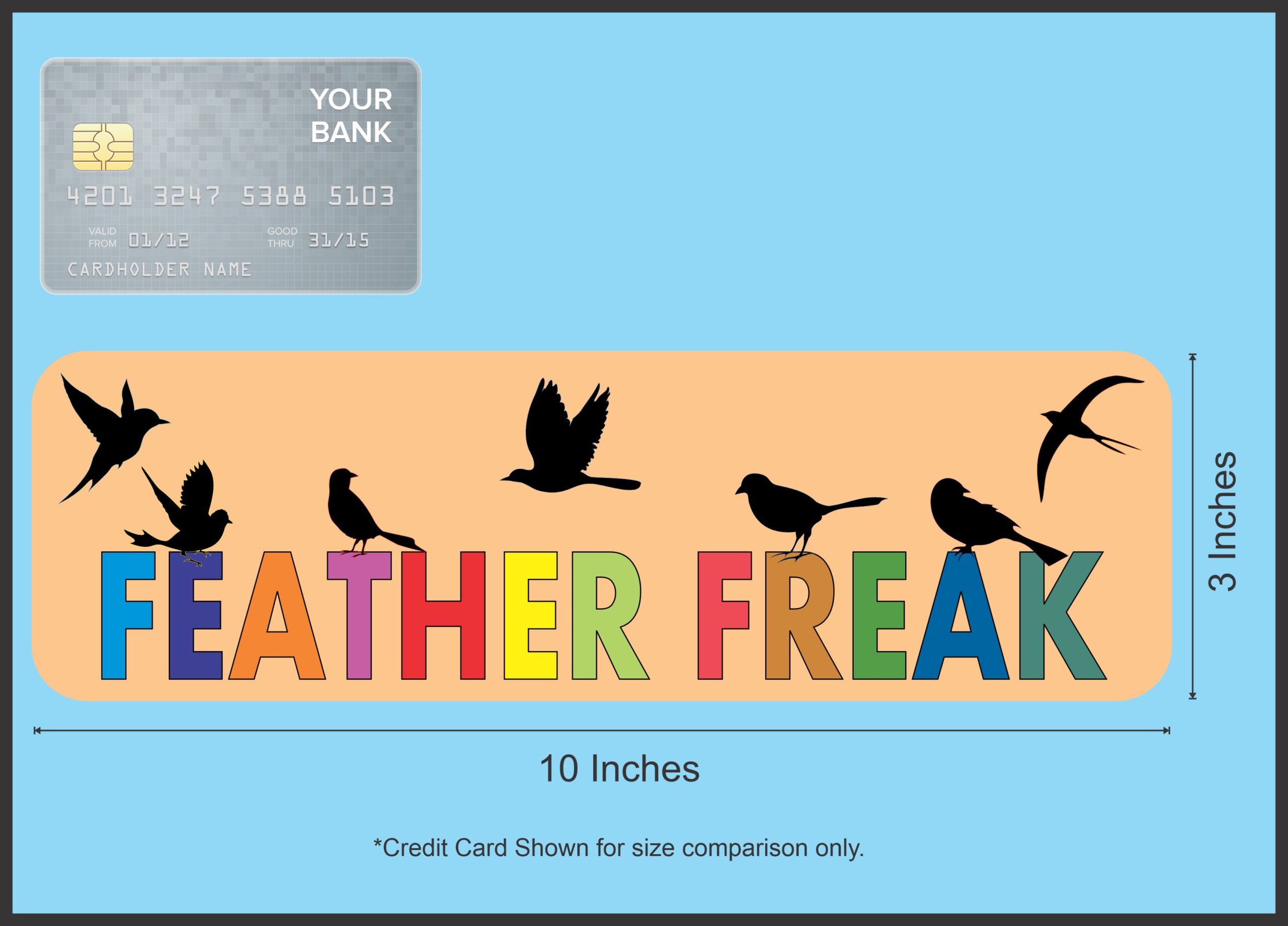 10in x 3in Feather Freak Birds Bird magnet bumper Vinyl magnets