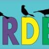 10in x 3in Birder Bird Watching Birds magnet bumper Vinyl magnets