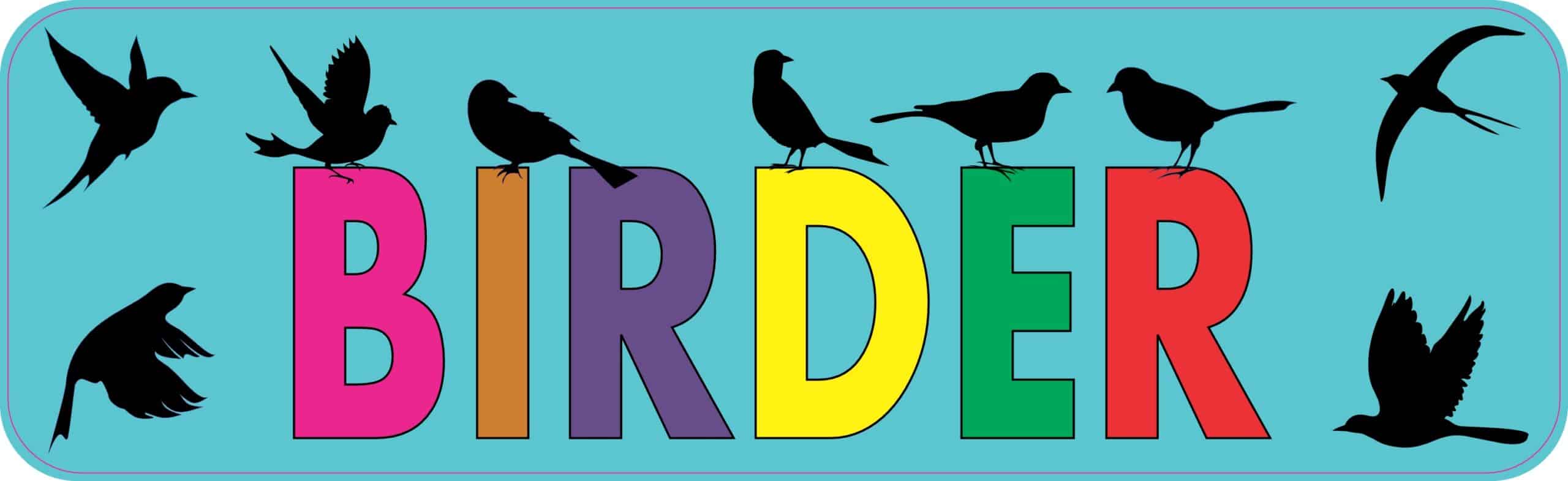 10in x 3in Birder Bird Watching Birds Bumper Sticker Decal Vinyl Stickers Decals