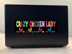 10in x 3in Crazy Chicken Lady Bumper Sticker Window Decal Vinyl Stickers Decals