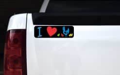10in x 3in I Love Chickens Magnet Magnetic Vehicle Bumper Magnets