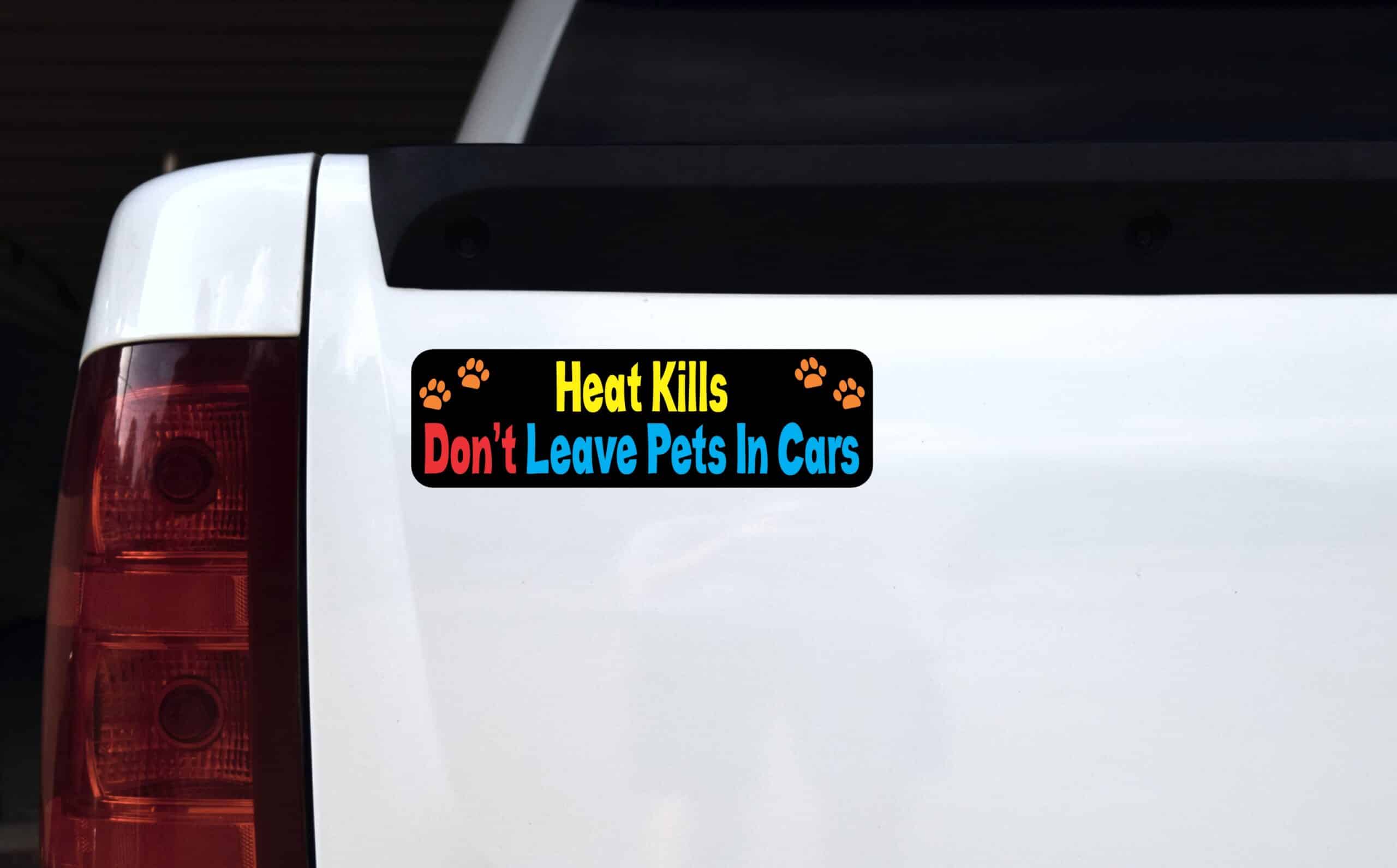 10in x 3in Heat Kills Dont Leave Pets In Cars magnet magnetic Car magnets