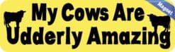 10in x 3in My Cows Are Udderly Amazing magnet  magnetic Car magnets