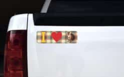 10in x 3in I Heart (Love) Bengal Cats Bumper Sticker Decal Car W