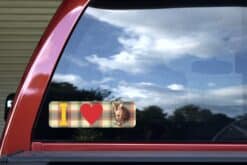 10in x 3in I Heart (Love) Bengal Cats Bumper Sticker Decal Car W