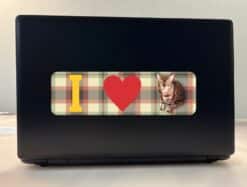 10in x 3in I Heart (Love) Bengal Cats Bumper Sticker Decal Car W