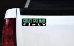 10in x 3in Crazy Cat Man Bumper Sticker Decal Cat Stickers Decal