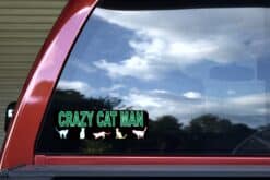10in x 3in Crazy Cat Man Bumper Sticker Decal Cat Stickers Decal