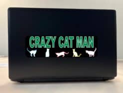 10in x 3in Crazy Cat Man Bumper Sticker Decal Cat Stickers Decal