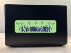 10in x 3in I Love Hummingbirds Bumper Sticker Decal Stickers Decals