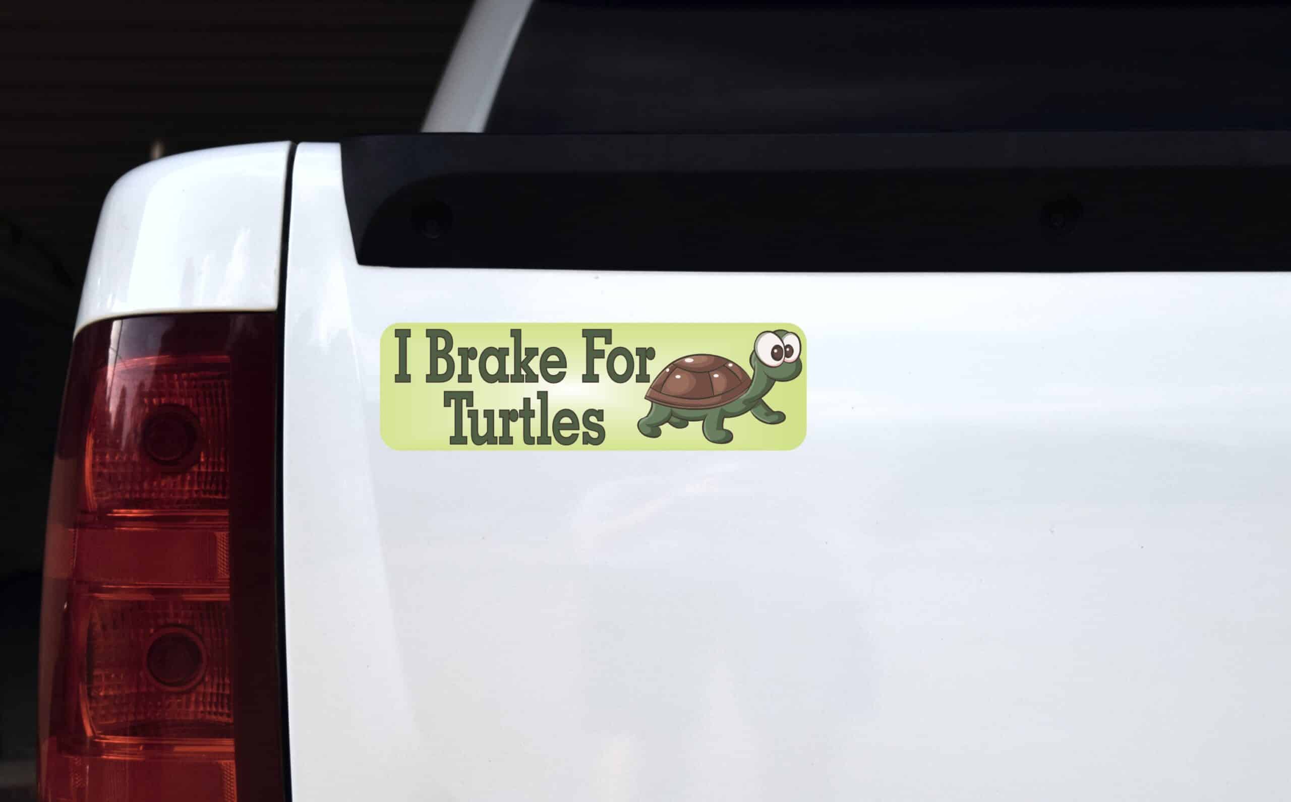 10in x 3in I Brake For Turtles Bumper Sticker Decal Stickers Dec