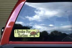 10in x 3in I Brake For Turtles Bumper Sticker Decal Stickers Dec