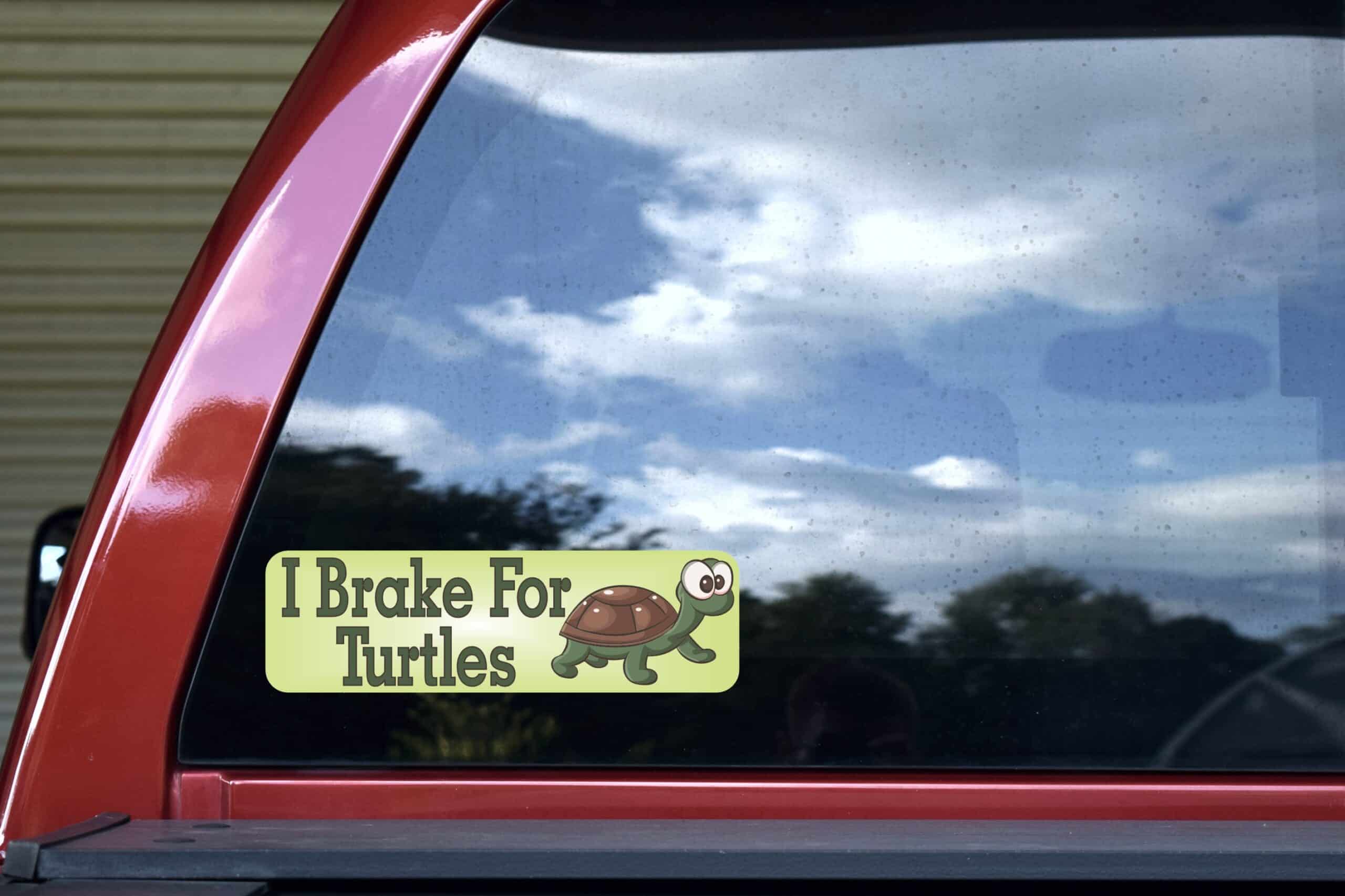 10in x 3in I Brake For Turtles Bumper Sticker Decal Stickers Dec