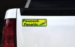 10in x 3in Peacock Fanatic Animals Bumper Sticker Vinyl Window Decal