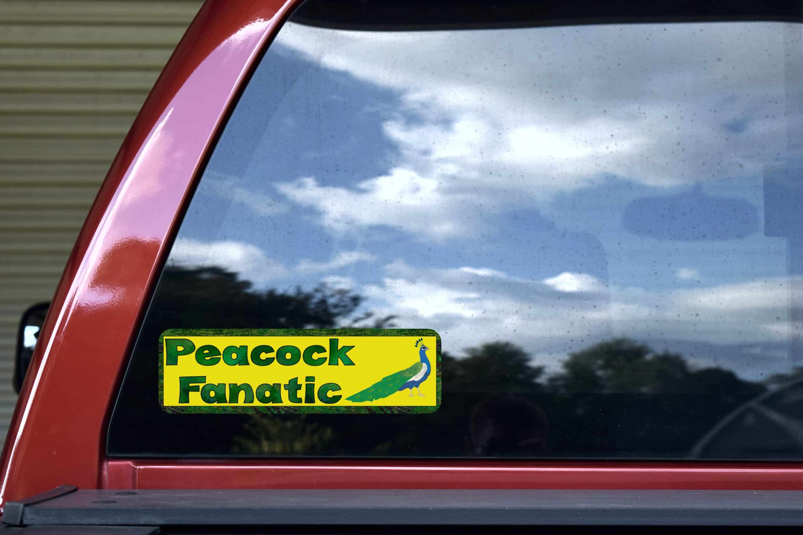 10in x 3in Peacock Fanatic Animals Bumper Sticker Vinyl Window Decal