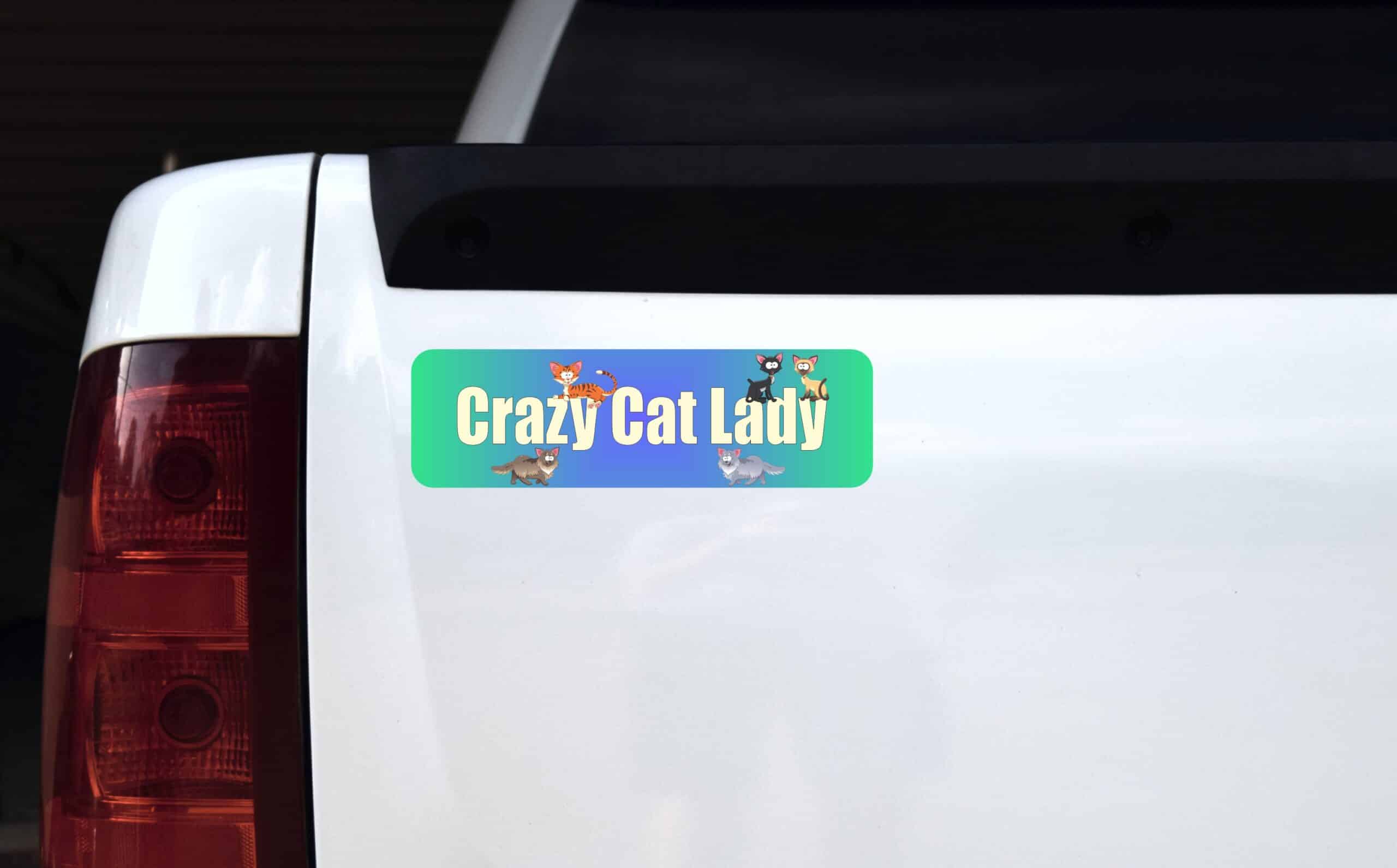 10in x 3in Crazy Cat Lady Vinyl magnet bumper magnetic sticky magnets