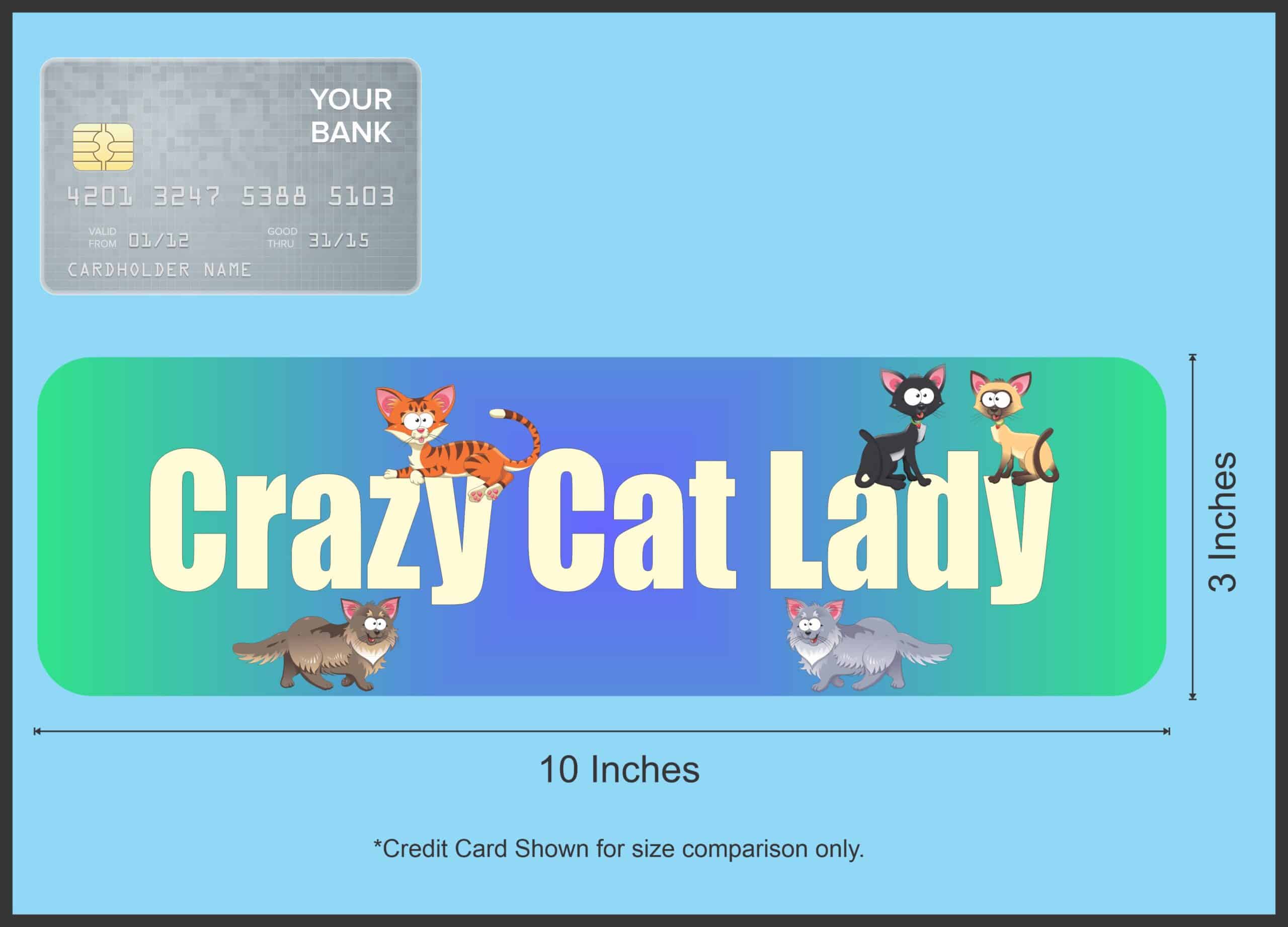 10in x 3in Crazy Cat Lady Vinyl magnet bumper magnetic sticky magnets