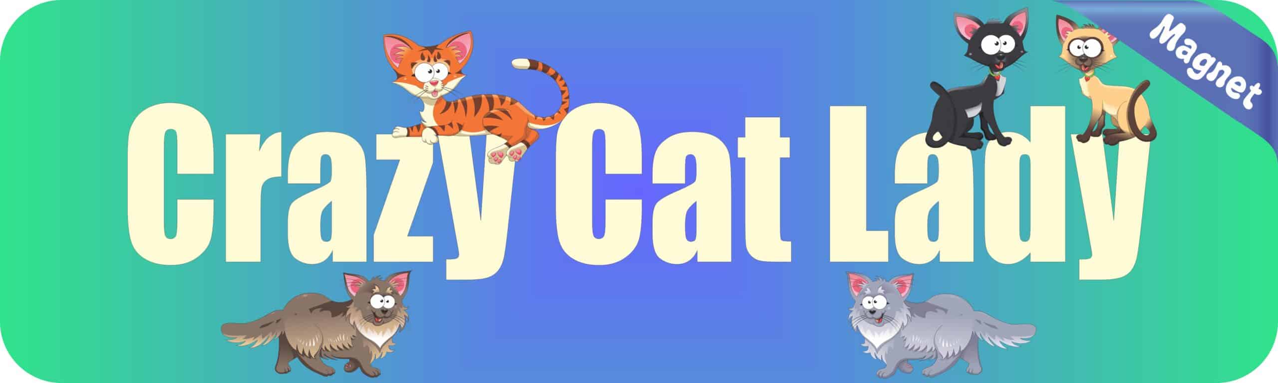 10in x 3in Crazy Cat Lady Vinyl magnet bumper magnetic sticky magnets